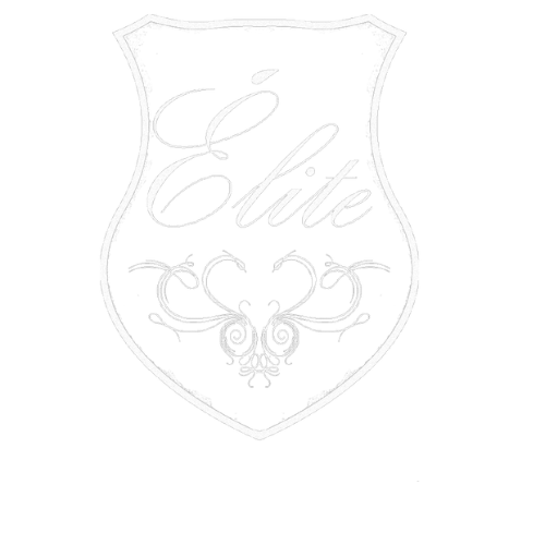 Logo Elite Agency